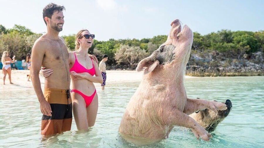 Exuma Elite Escape: Luxury Fly-In Pig Beach Adventure - 7 Stops