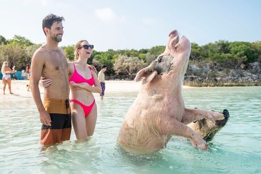 Exuma Elite Escape: Luxury Fly-In Pig Beach Adventure - 7 Stops