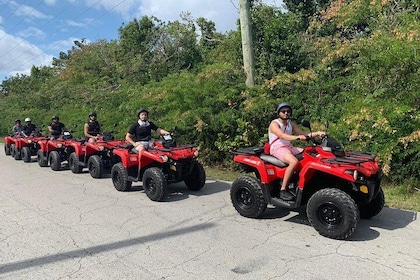  Atv Island Tour + Clifton Park Bundle- Beach Day, Lunch with pick up + dro...