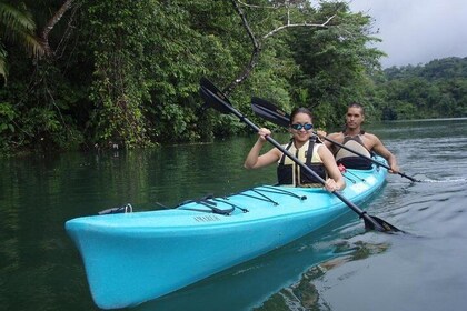 Chagres River Kayak Expedition From Panama City