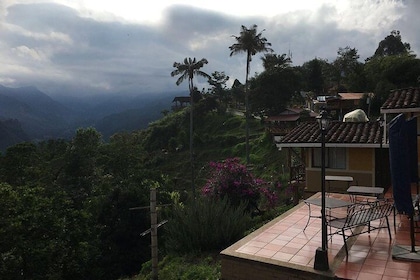 3-Day Colombian Coffee Region Small Group Tour