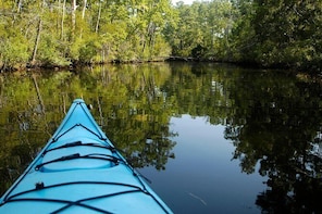 Kitty Hawk Maritime Forest Kayak Tour