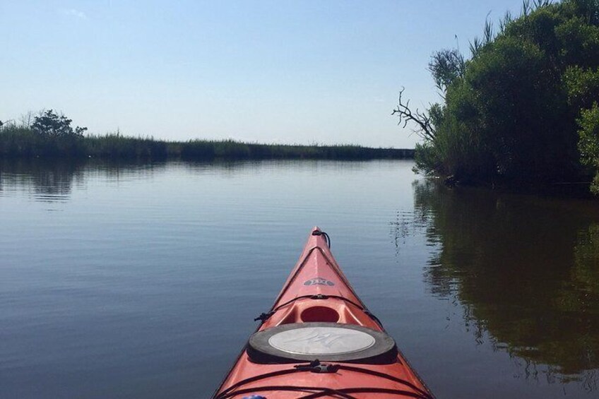 Salt Marsh