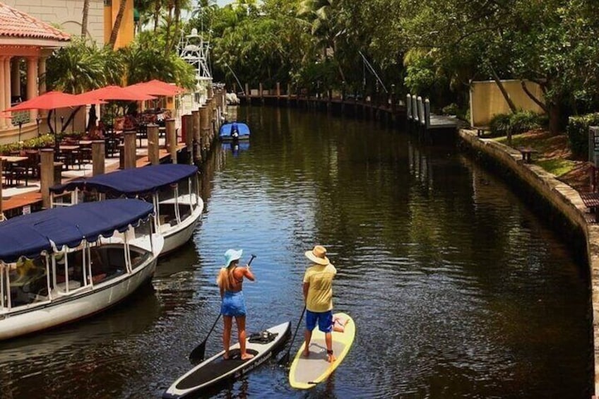 Kayak Rental: Explore Mangroves and Self-Navigated River Eco Paddle 