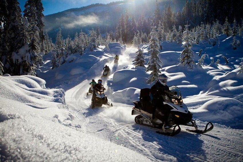 Family Snowmobile Tours with The Adventure Group