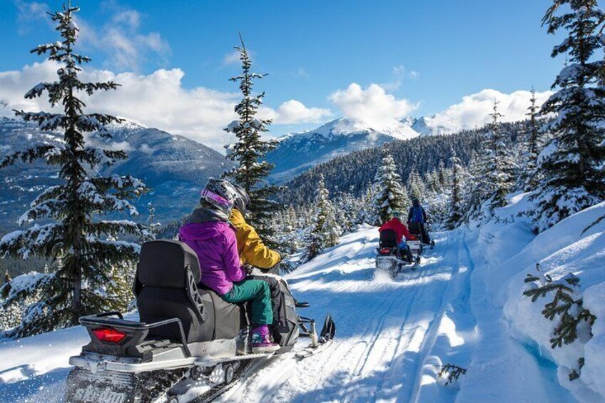 Family Snowmobile Tours with The Adventure Group