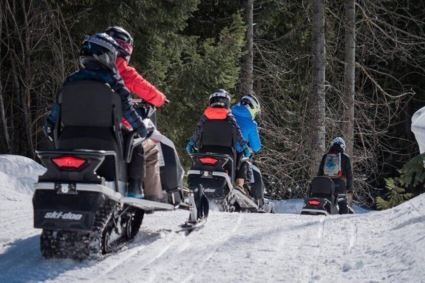 Family Snowmobile Tours with The Adventure Group