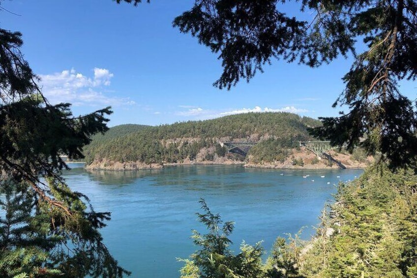 Canopy Tree Climbing at Deception Pass State Park