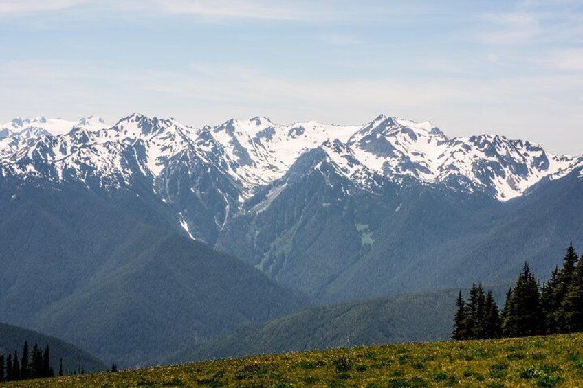 Hurricane Ridge