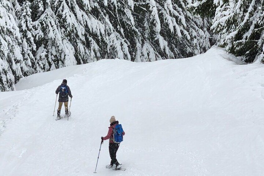 Snowshoeing at Crystal Mountain by Mount Rainier