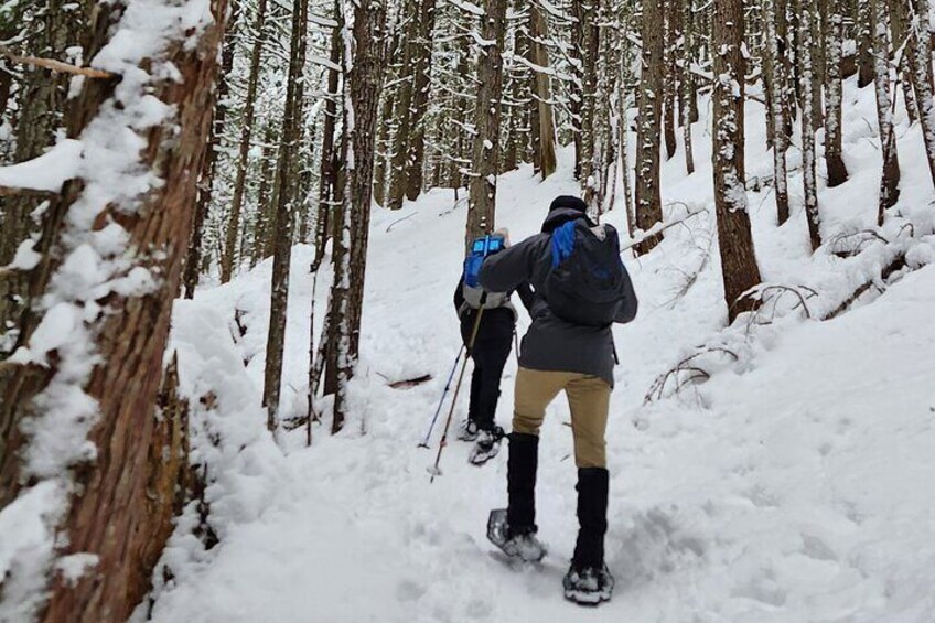 Snowshoeing at Crystal Mountain by Mount Rainier