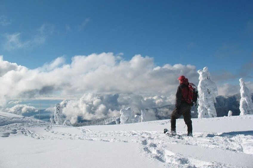 Snowshoeing at Crystal Mountain by Mount Rainier