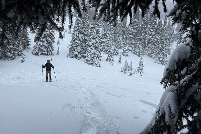 Snowshoeing at Crystal Mountain by Mount Rainier