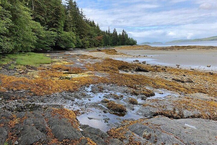 Stunning beach views!