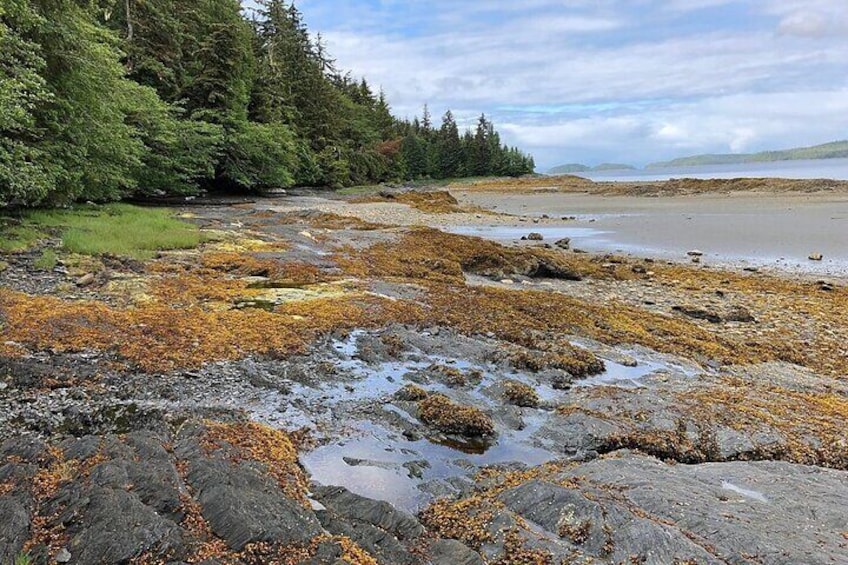 Stunning beach views!