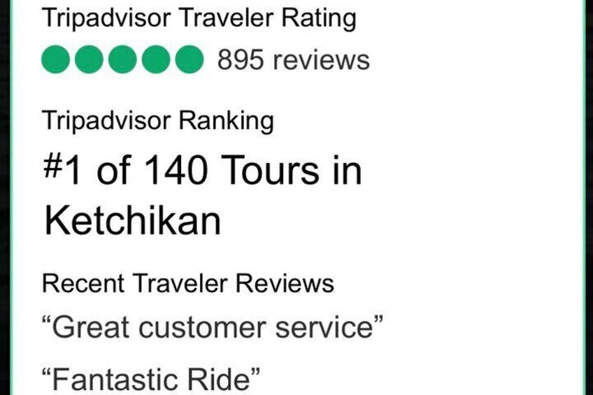 Ketchikan Electric Bike and Rain Forest Hike Ecotour