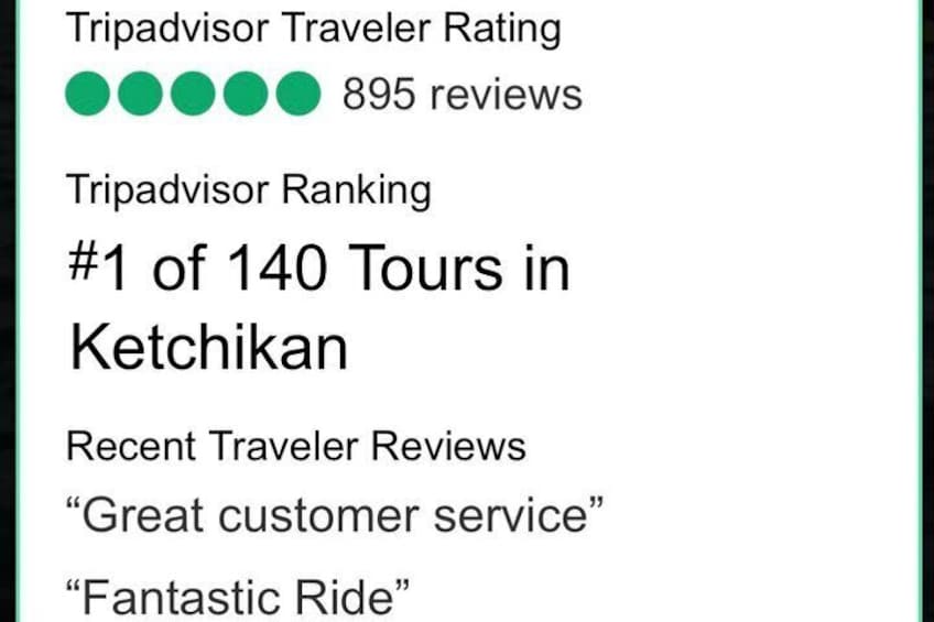 Ketchikan Electric Bike and Rain Forest Hike Ecotour