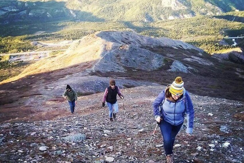 Hike above treeline for spectacular views