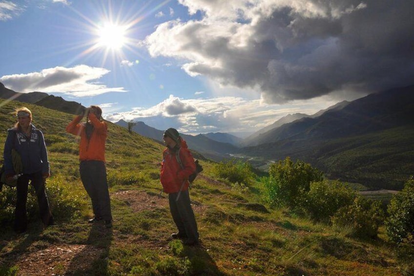 Naturalist Guide in Denali