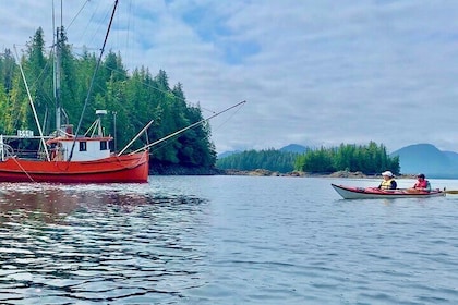 Orca Cove Sea Kayaking