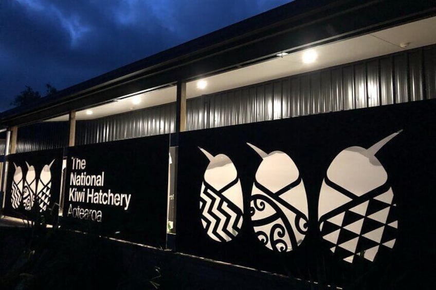 National Kiwi Hatchery - Kiwi Encounter Tour