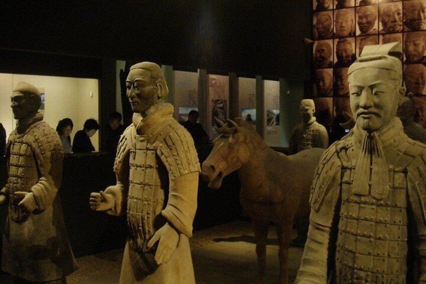 Terracotta Warriors Museum Ticket with Professional English-speaking tour guide