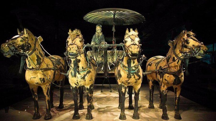 Terracotta Warriors Museum Ticket with Professional English-speaking tour guide