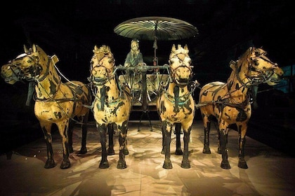 Terracotta Warriors Museum Ticket with Professional English-speaking tour g...