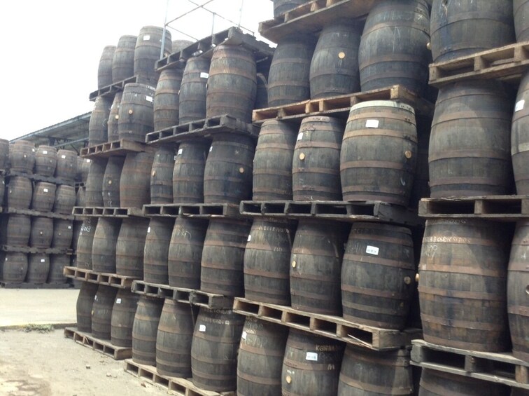 Show item 5 of 8. Private Flor de Caña Rum Distillery and León City