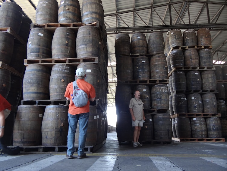 Show item 2 of 8. Private Flor de Caña Rum Distillery and León City