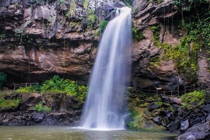 Day Trip to Cascada Blanca Waterfall in Matagalpa from Granada