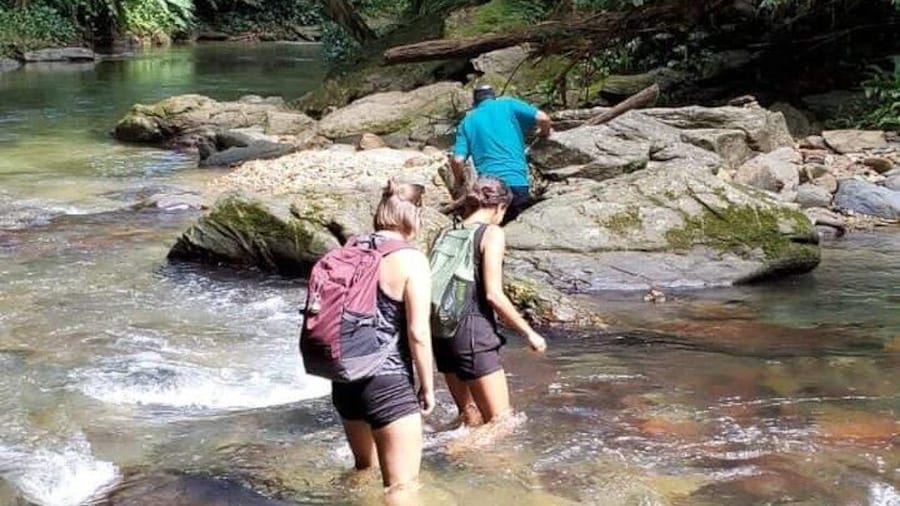 Avocat Waterfall and Beach Tour