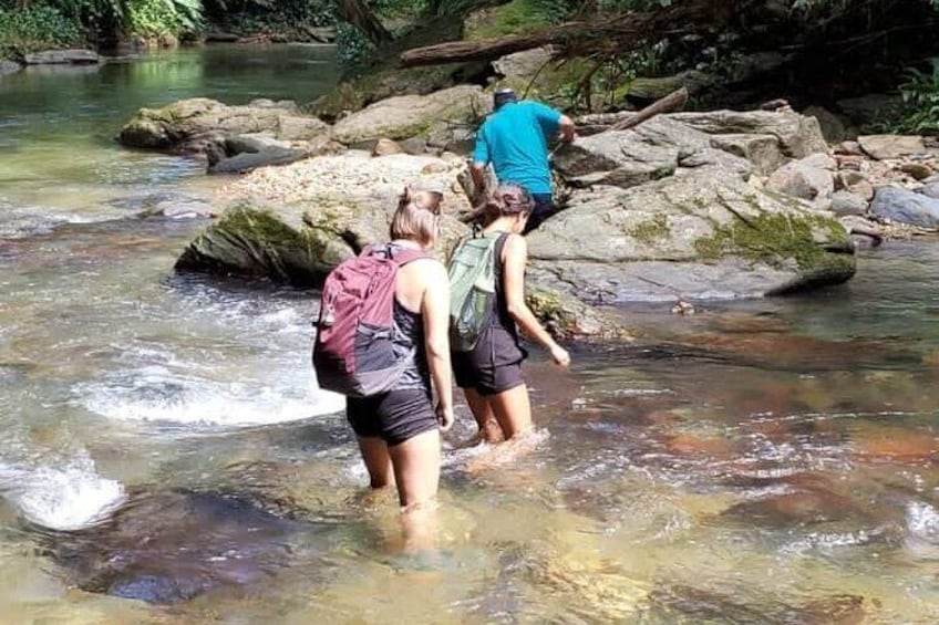 Avocat Waterfall and Beach Tour