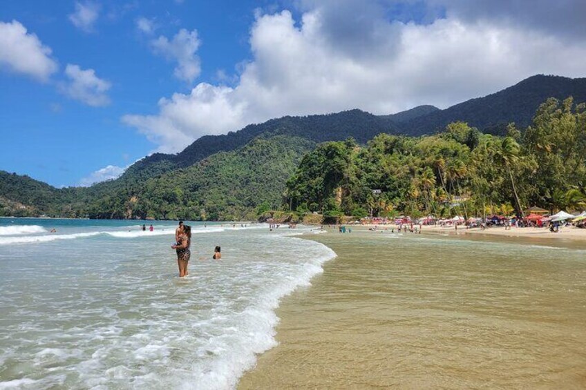 Avocat Waterfall and Beach Tour