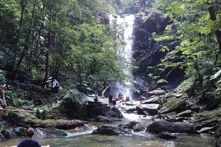 Avocat Waterfall and Beach Tour