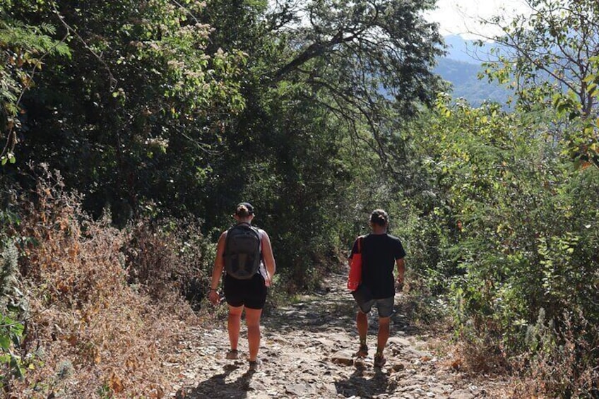 Tamanique Waterfalls tour from Surf City