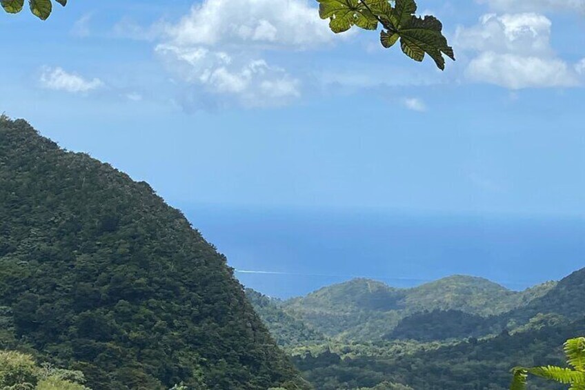 Half Day Grenada Seven Sisters, Grand Etang Nature Center Hiking Tour