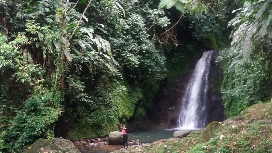 Half Day Grenada Seven Sisters, Grand Etang Nature Center Hiking Tour
