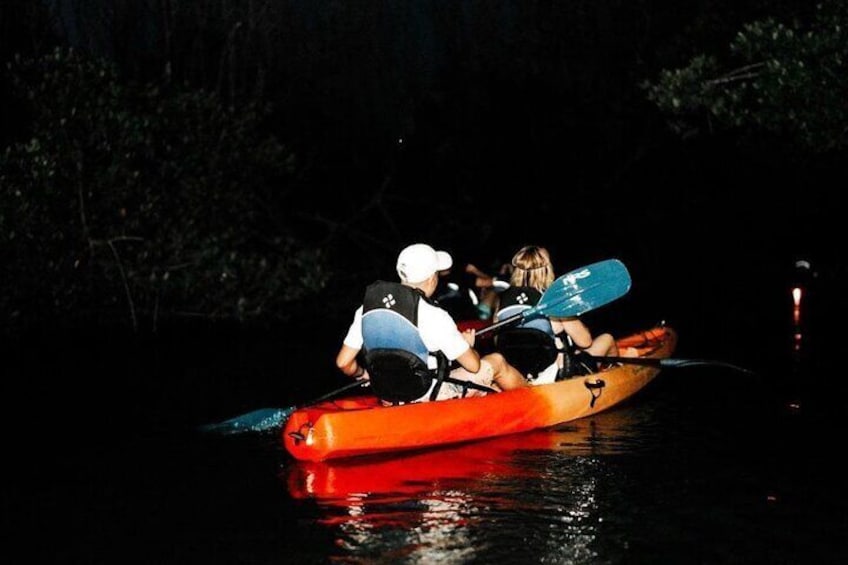 Bio Bay Kayak Tour in Fajardo