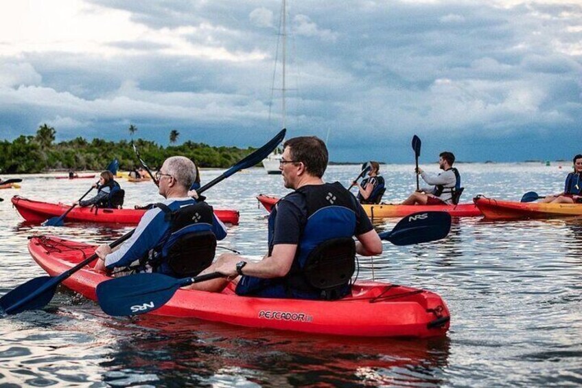 Bio Bay Kayak Tour in Fajardo