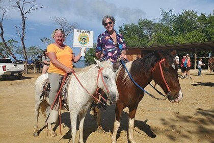 Roatan Excursion: Horseback Ride / Sloths park / Snorkel With Beach Break