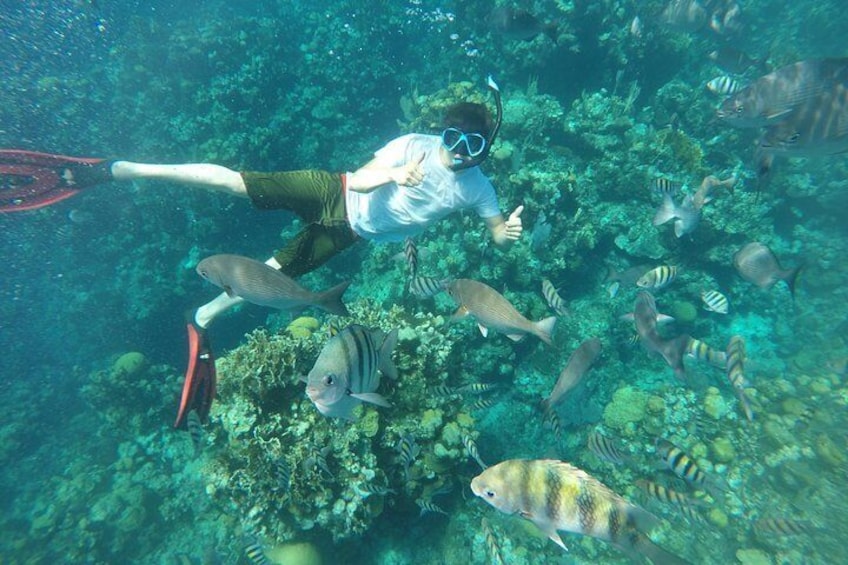 PRIVATE: Extreme Roatan Adventure Tour