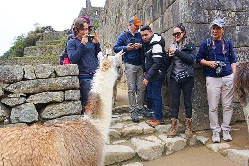 Machu Picchu 1 Day Tour Luxury Service