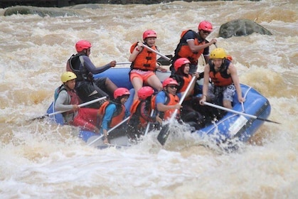 Adrenaline Rush : Kampar River White Water Rafting from Kuala Lumpur