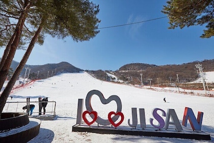 Full-Day Ski Package at Jisan Ski Resort from Seoul