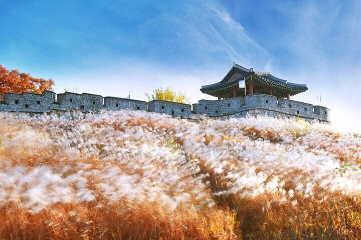 Day Trip to UNESCO: Suwon Fortress Adventure from Seoul