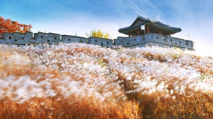 Day Trip to UNESCO: Suwon Fortress Adventure from Seoul