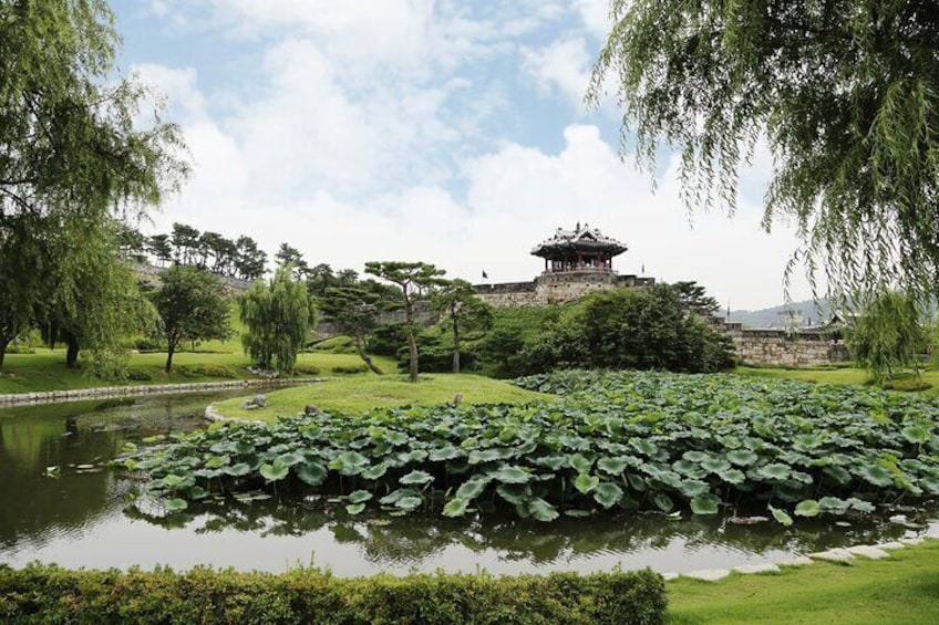 Suwon Hwaseong Fortress Small-Group Morning Tour from Seoul