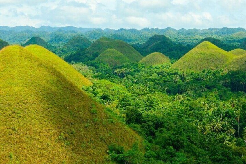 Private 2 Days and 1 nights in Bohol Tour Packages