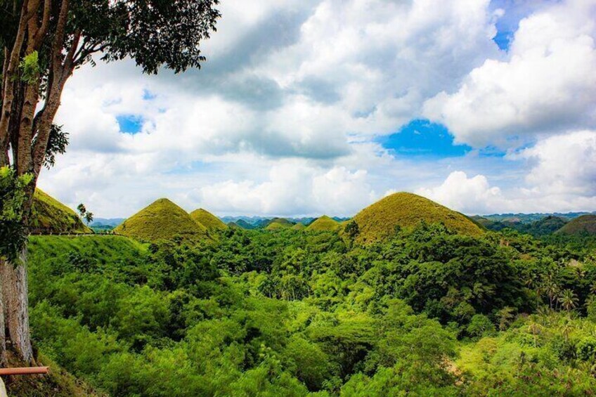 Private 2 Days and 1 nights in Bohol Tour Packages